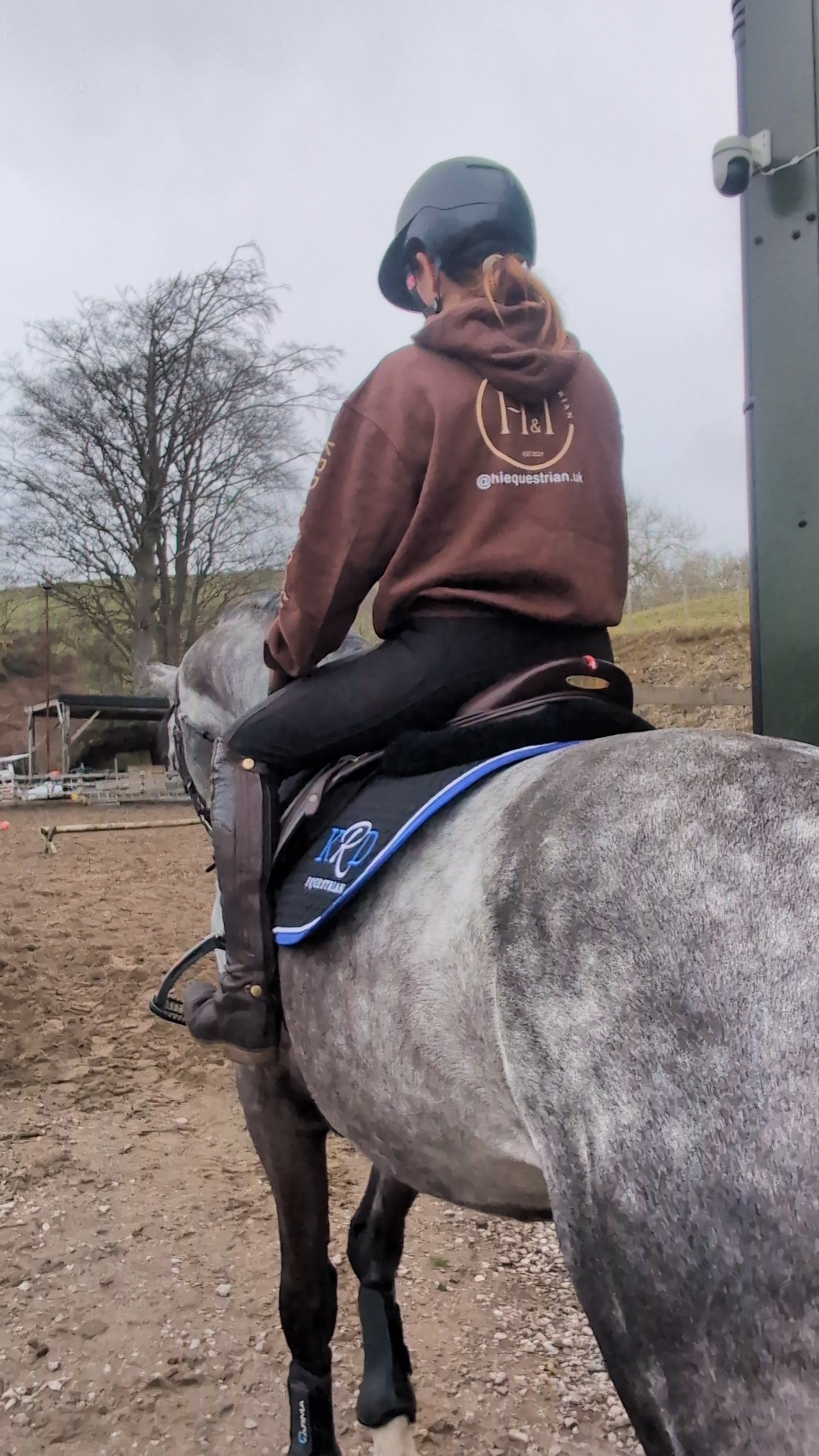 Chocolate TEAM Hoody