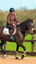 Chocolate TEAM Hoody